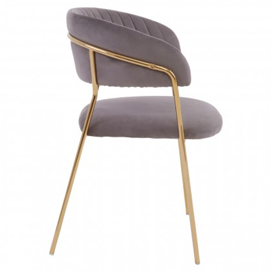 Tamzo Mink Velvet Dining Chairs With Gold Legs In Pair FiF