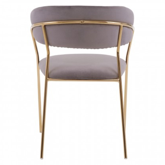 Tamzo Mink Velvet Dining Chairs With Gold Legs In Pair FiF