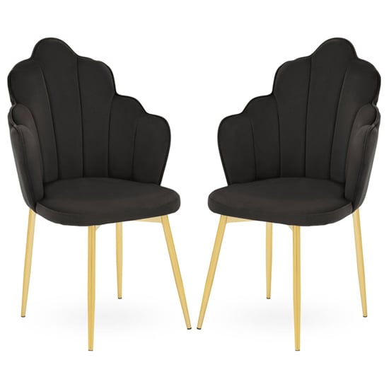 Tania Black Velvet Dining Chairs With Gold Legs In A Pair