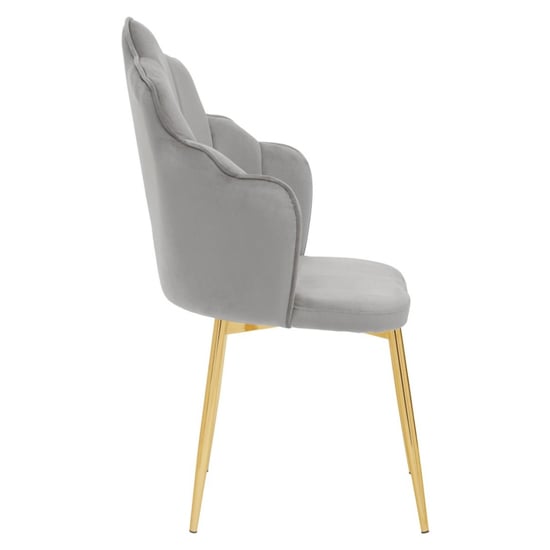 Tania Grey Velvet Dining Chairs With Gold Legs In A Pair