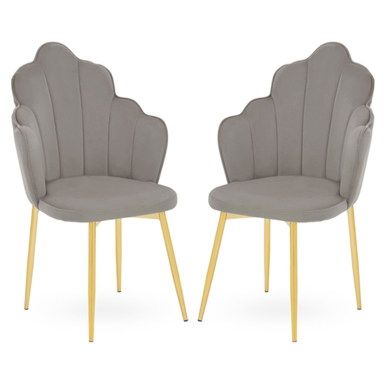 Tania Grey Velvet Dining Chairs With Gold Legs In A Pair