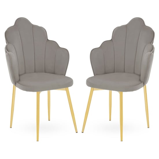 Tania Grey Velvet Dining Chairs With Gold Legs In A Pair