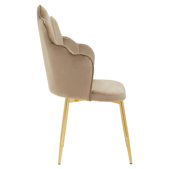 Tania Mink Velvet Dining Chairs With Gold Legs In A Pair_3