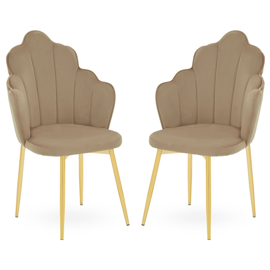 Photo of Tania mink velvet dining chairs with gold legs in a pair