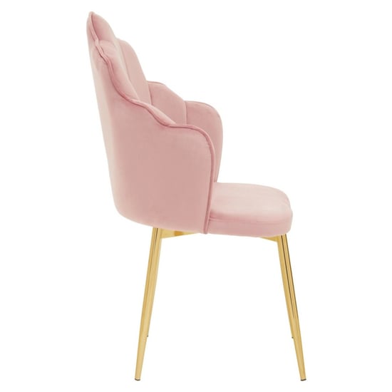 Tania Pink Velvet Dining Chairs With Gold Legs In A Pair_3