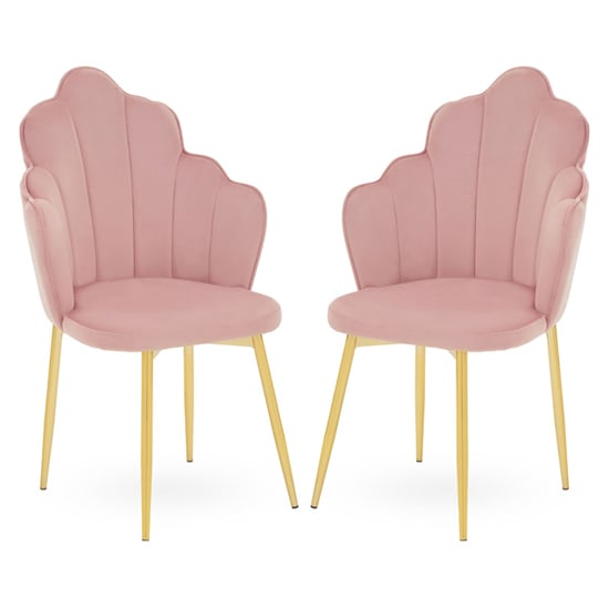 Tania Pink Velvet Dining Chairs With Gold Legs In A Pair