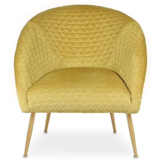 Tanya Velvet Occasional Chair With Gold Metal Legs In Gold