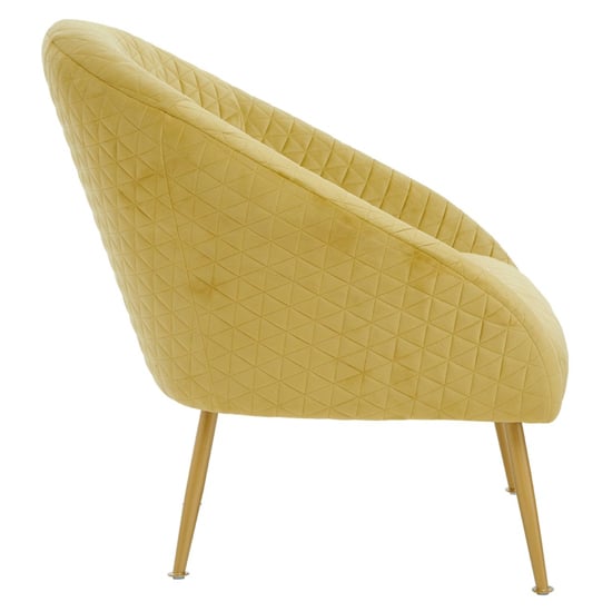 Tanya Velvet Occasional Chair With Gold Metal Legs In Gold