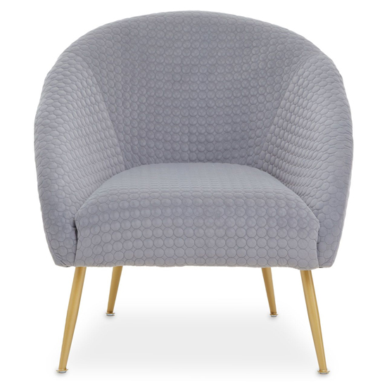 Tanya Velvet Occasional Chair With Gold Metal Legs In Grey
