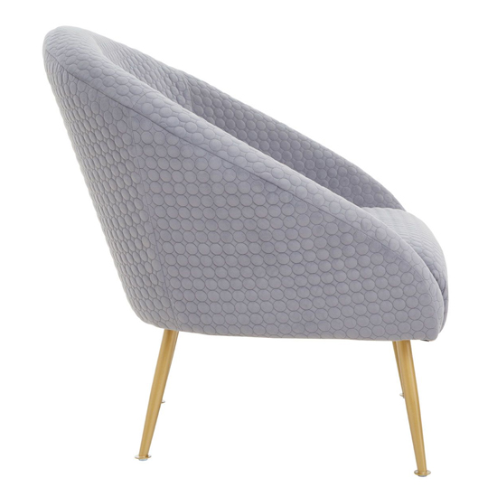 Tanya Velvet Occasional Chair With Gold Metal Legs In Grey
