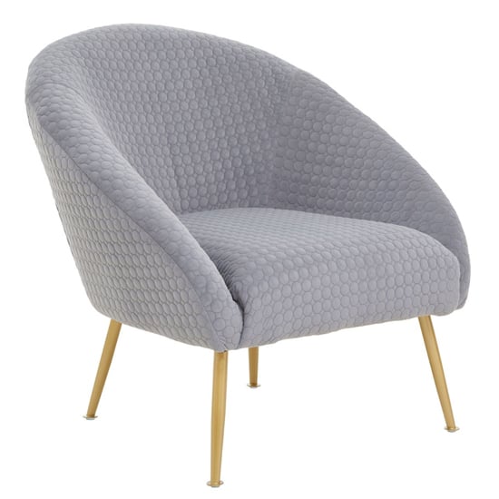 Tanya Velvet Occasional Chair With Gold Metal Legs In Grey