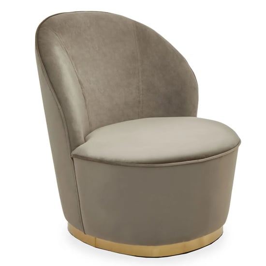 Product photograph of Teos Mink Plush Velvet Swivel Tub Chair With Gold Base from Furniture in Fashion