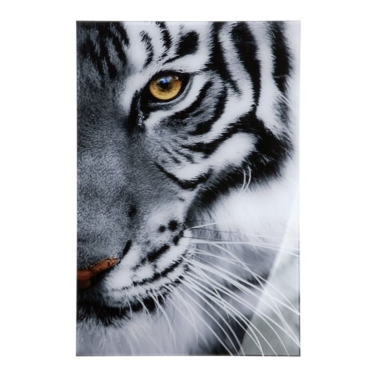 Photo of Tiger picture acrylic wall art in black and white