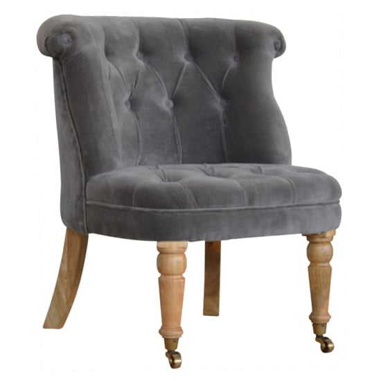 Trenton Velvet Upholstered Accent Chair In Grey