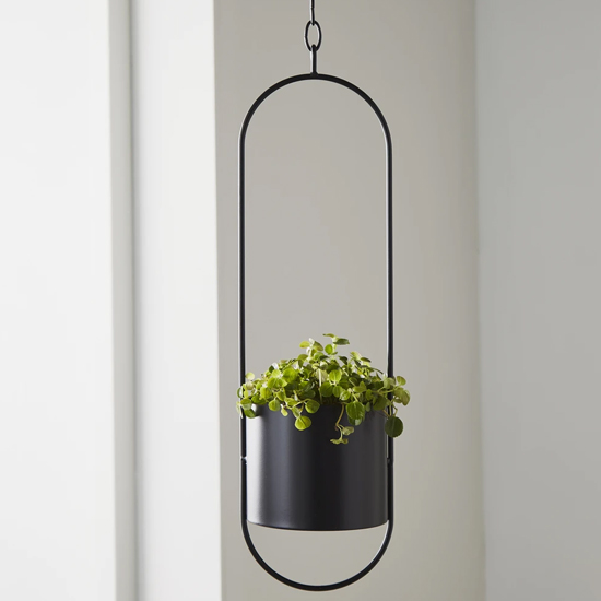 Product photograph of Vail Large Metal Hanging Plant Holder In Black from Furniture in Fashion