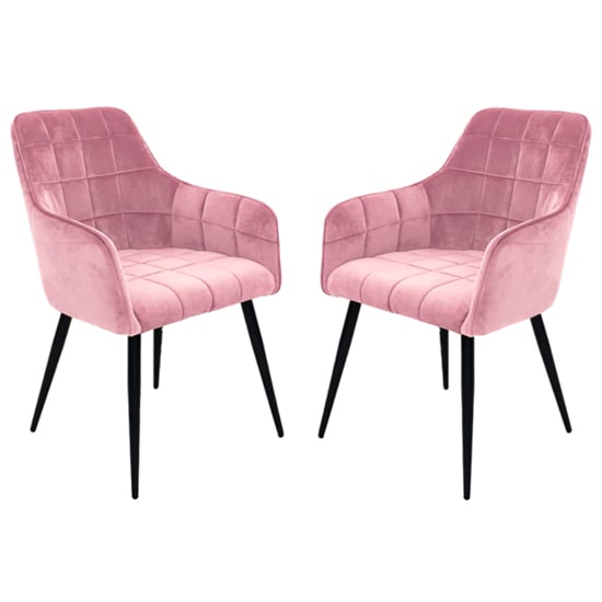 Read more about Vernal blush velvet dining chairs with black legs in pair