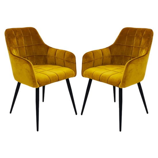 Read more about Vernal mustard velvet dining chairs with black legs in pair