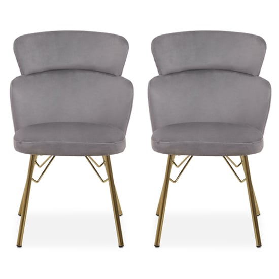 Vinita Upholstered Grey Velvet Bedroom Chairs In A Pair