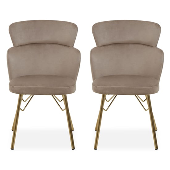 Vinita Upholstered Mink Velvet Bedroom Chairs In A Pair