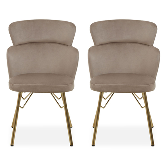 Read more about Vinita upholstered mink velvet bedroom chairs in a pair