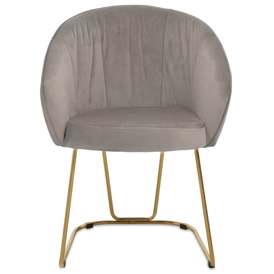 Photo of Vinita upholstered velvet dining chair in mink