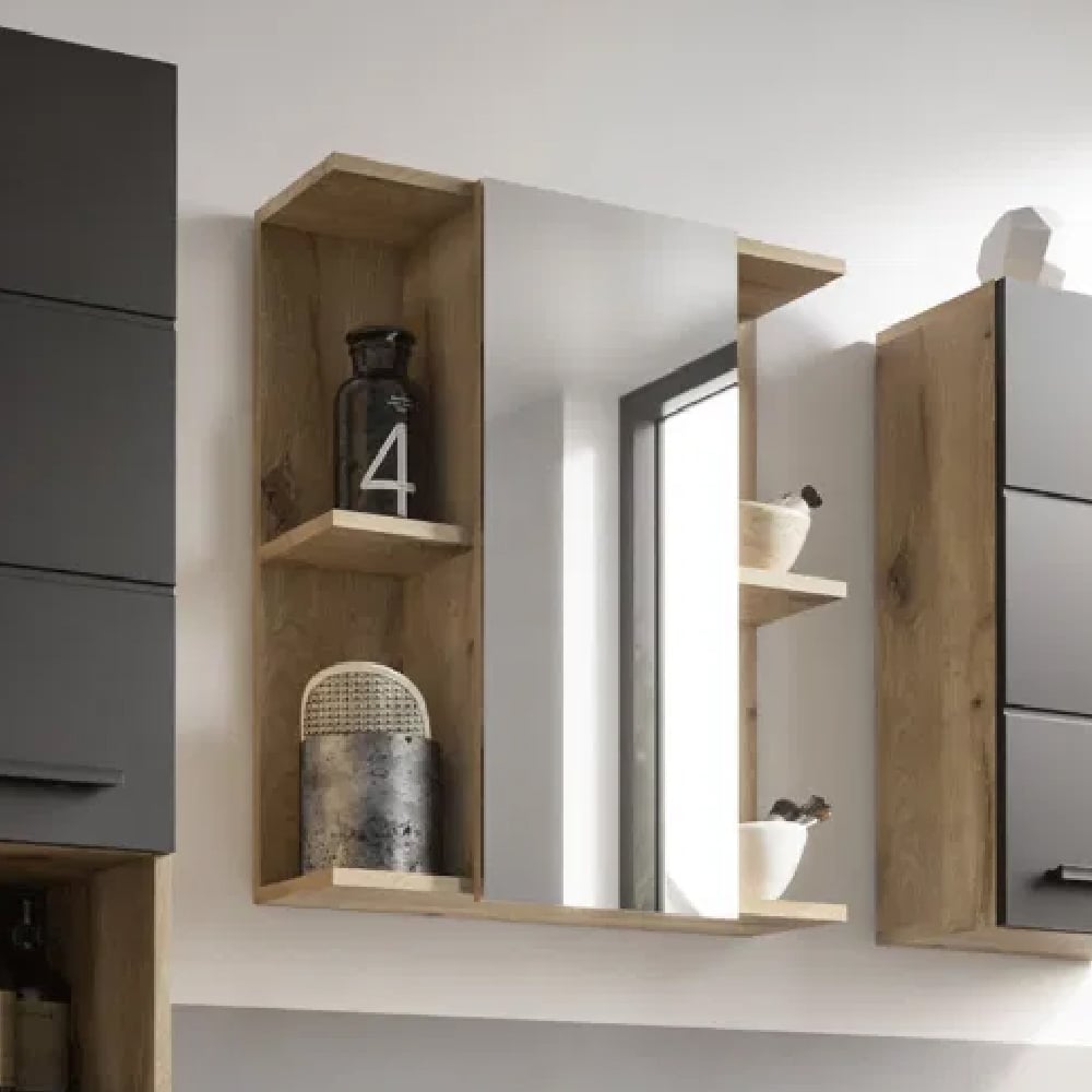 Viroqua Wooden Mirrored Cabinet With 1 Door In Viking Oak