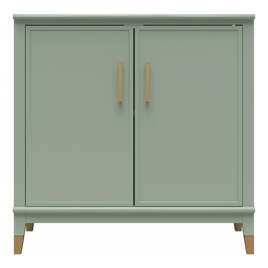 Waller Wooden Storage Cabinet With 2 Doors In Pale Green