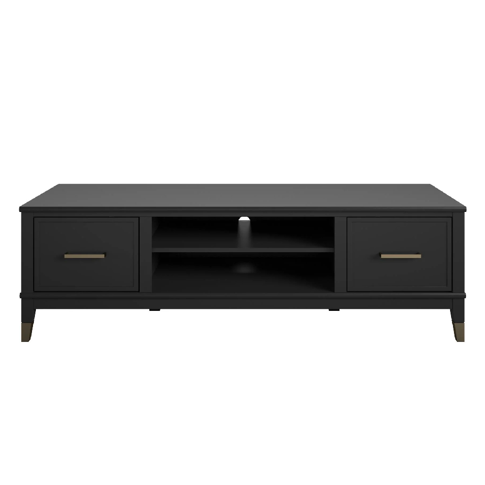 Wantagh Wooden TV Stand With 2 Doors In Black