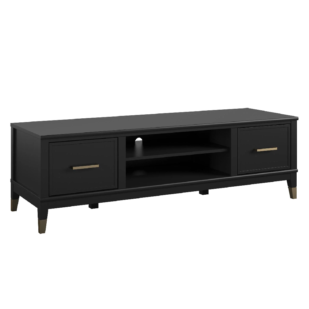 Wantagh Wooden TV Stand With 2 Doors In Black