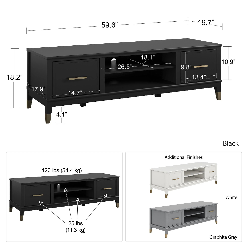 Wantagh Wooden TV Stand With 2 Doors In Black