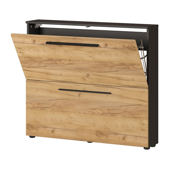 Wildomar Shoe Storage With 2 Flaps In Graphite And Oak
