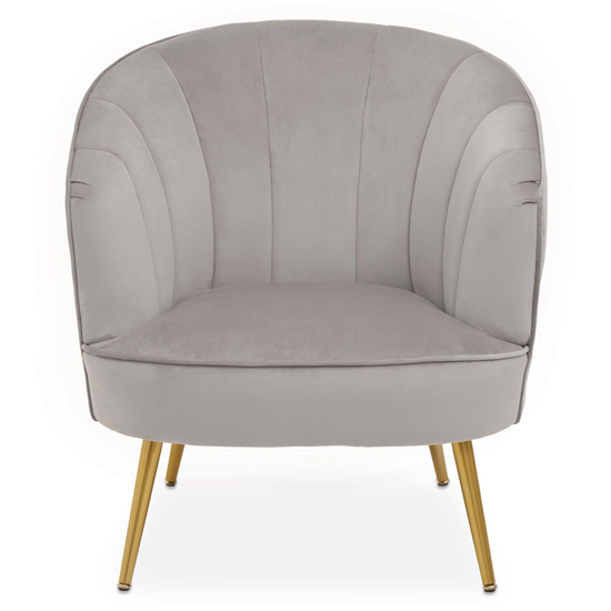 Yolinda Upholstered Velvet Armchair In Grey