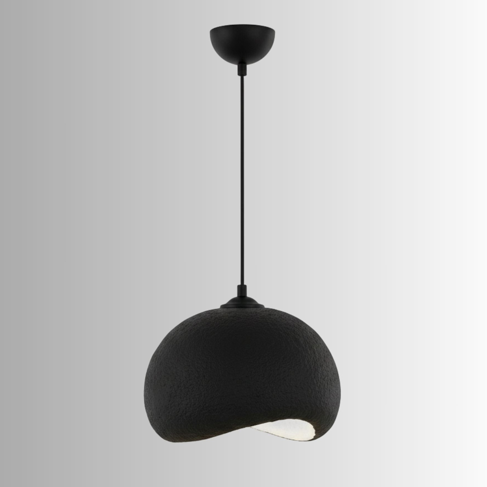 Yontu Metal Ceiling Pendant Light in Black