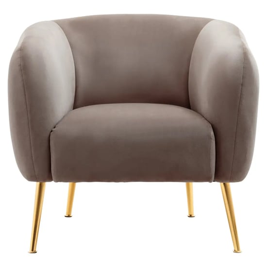 Product photograph of York Velvet Armchair In Dark Beige With Gold Metal Legs from Furniture in Fashion