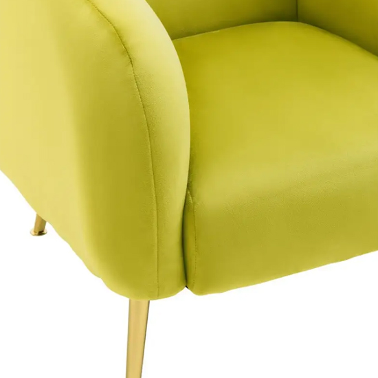 York Velvet Armchair In Olive With Gold Metal Legs