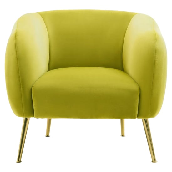 Product photograph of York Velvet Armchair In Olive With Gold Metal Legs from Furniture in Fashion