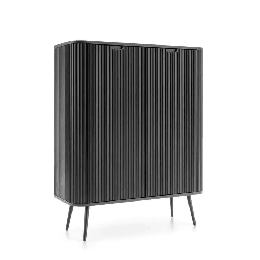Zebulon Wooden Storage Cabinet With 2 Doors In Black