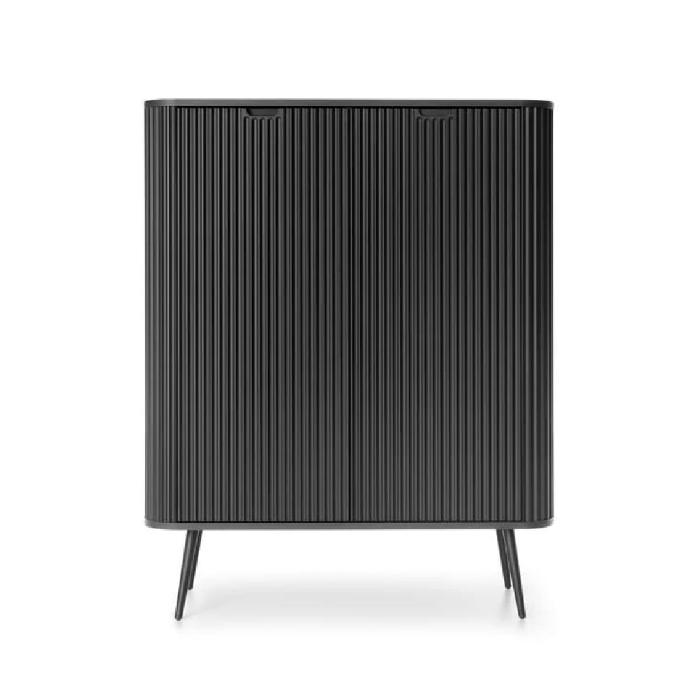 Zebulon Wooden Storage Cabinet With 2 Doors In Black