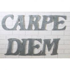 Wall Decoration Carpe Diem Metal Grey Set Of 2 - UK