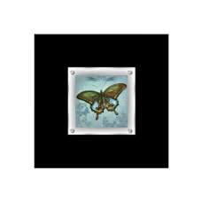 Agatiyo Decorative Butterfly 2 Wall Art Frame In Multicolor - UK