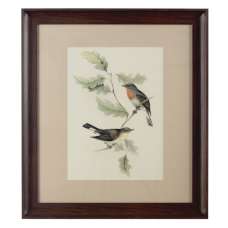 Agatiyo Framed Birds 2 Wall Art In Multi Coloured - UK