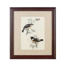 Agatiyo Framed Birds Wall Art In Assorted - UK