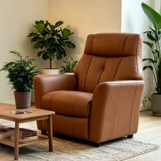 Bionel Leather 1 Seater Sofa in Camel - UK