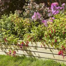 Bloomspace Wooden Garden Set Of 4 Border Fence 400 x 1200 in Natural - UK