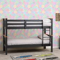 Nevada Wooden Children Bunk Bed With Ladder In Dark Grey And Oak - UK