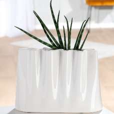 Sorelli Small Ceramics Flower Vase In White - UK