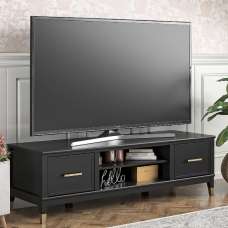 Wantagh Wooden TV Stand With 2 Doors In Black - UK