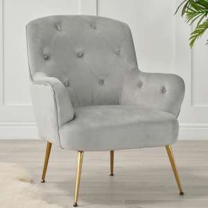 Abergele Plush Velvet Armchair In Grey With Gold Legs