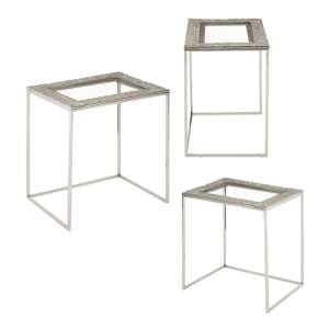 Akela Rectangular Glass Top Set Of 3 Side Tables In Silver
