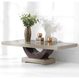 Aloya High Gloss Marble Coffee Table In Light And Dark Brown